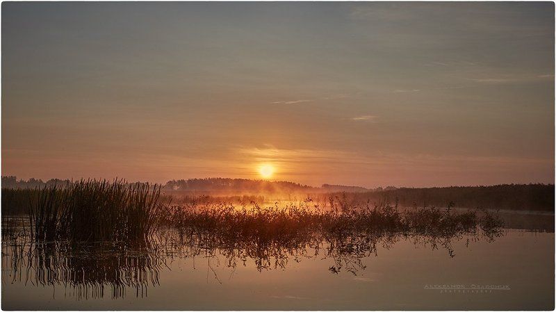 утро на реке фото превью
