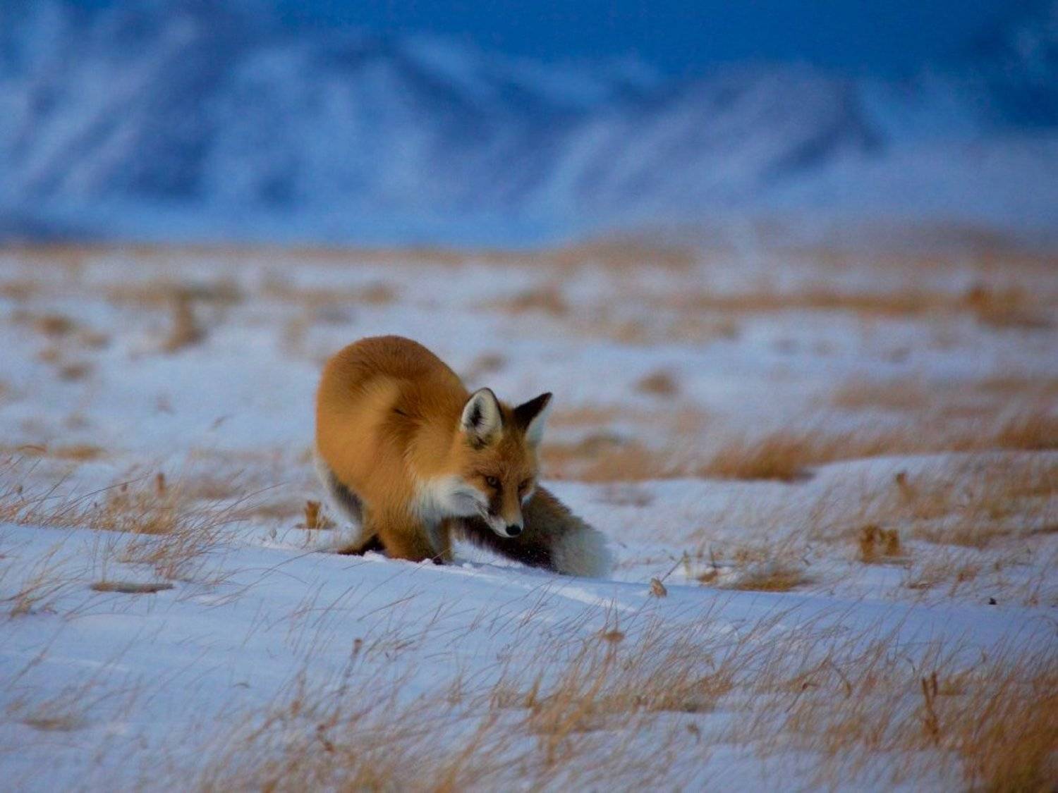 , Мазурин Евгений