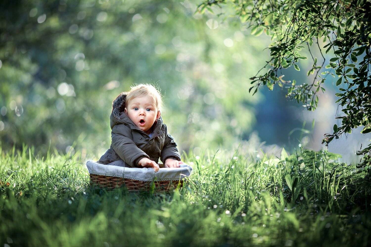 , Елена Силина