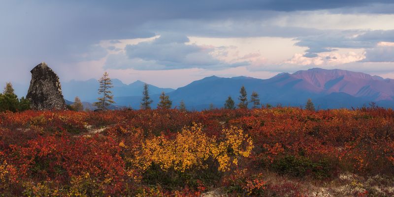 россия, колыма, озеро джека лондона, плато, закат, осень Плато Неведомого фото превью