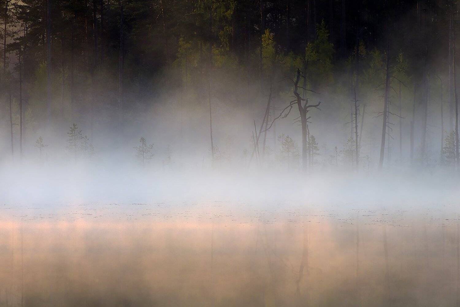 карелия, Виктор