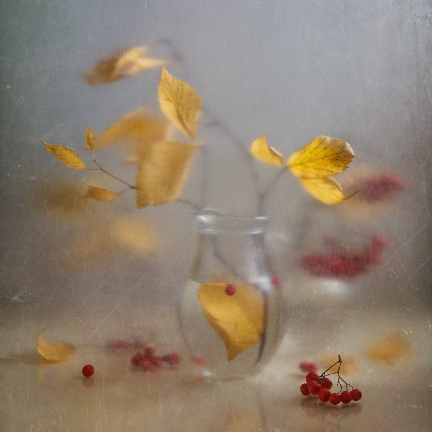 осень, листья, полиэтилен, мутность, натюрморт, рябина, Виктория