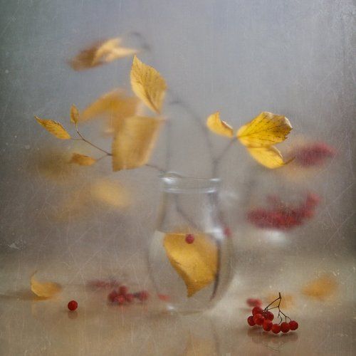 Осторожно осень крадётся