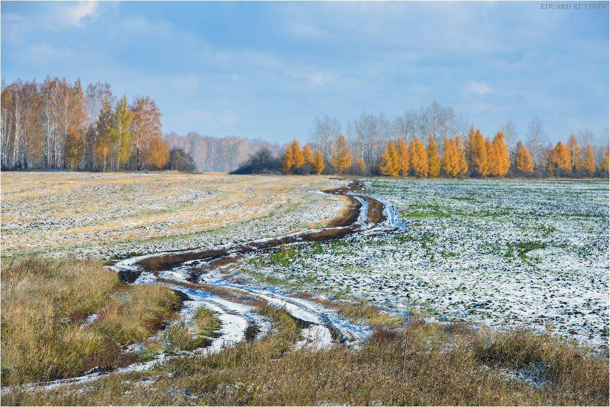 зауралье, урал, первыйснег, золотаяосень, осень, золотая. каргаполье, снег, курганская, Кутыгин Эдуард
