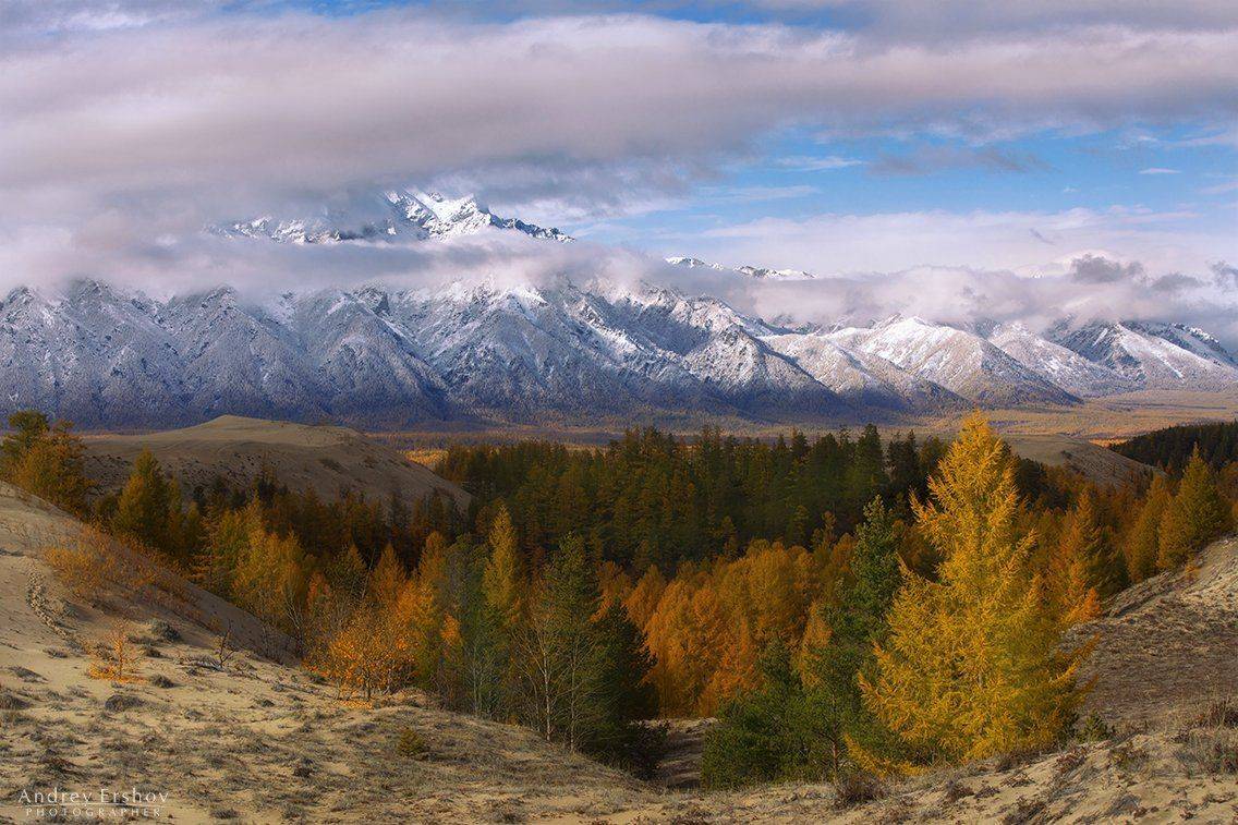 , Андрей Ершов