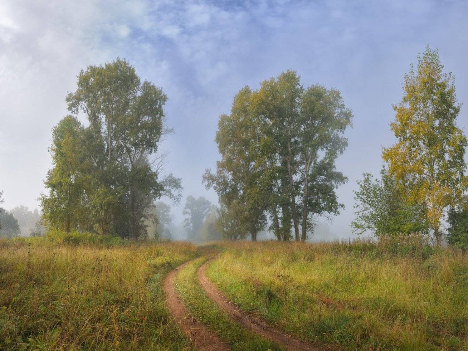 , Дмитрий Медянцев
