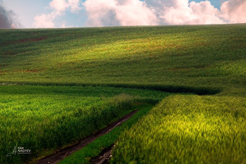 Сельская дорога фото превью