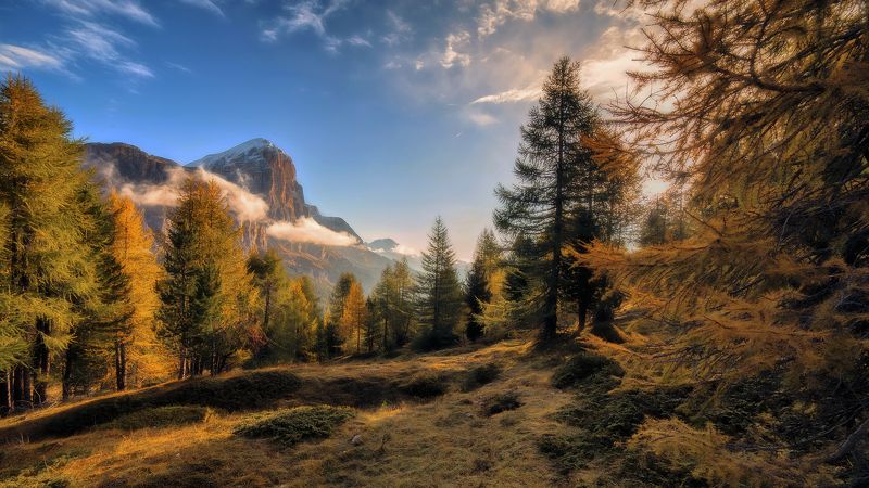 My works фото превью