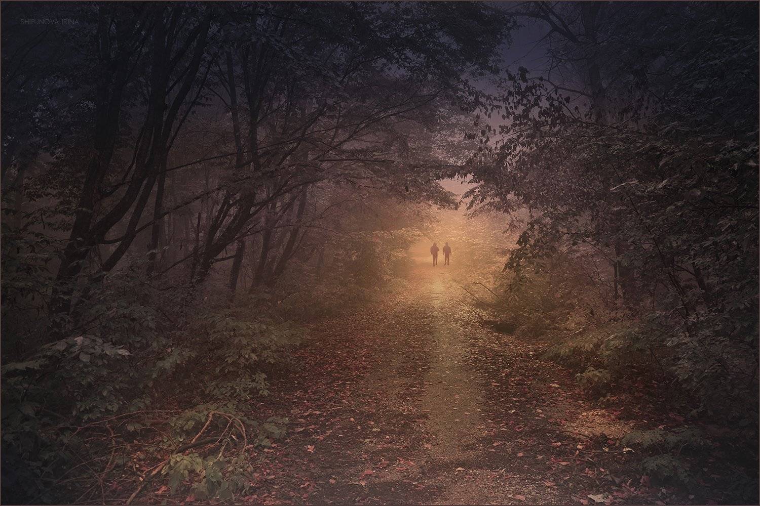 , Шипунова Ирина