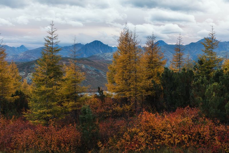россия, колыма, озеро джека лондона, осень, закат Большой Аннгачак фото превью