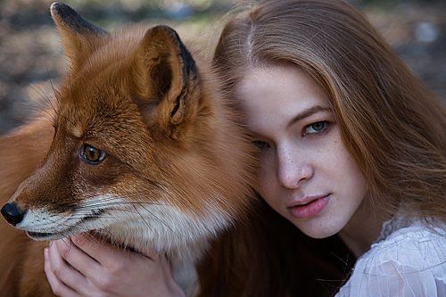 лисички