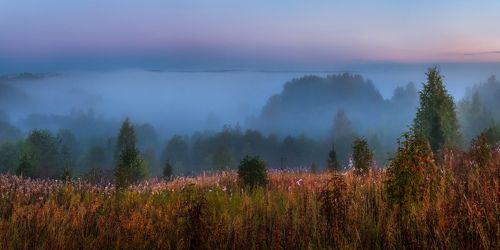 Туманная река, или на холмах вепсского леса