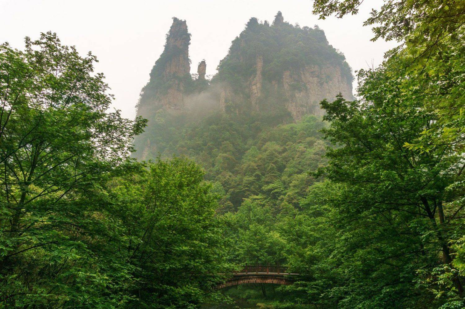 , Сергей Низовцев