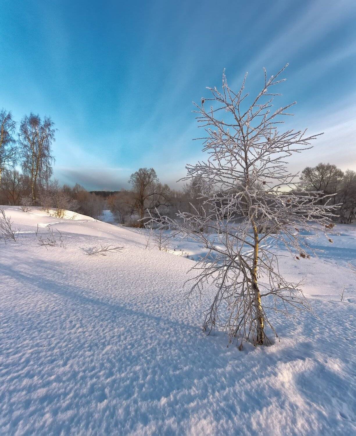 , Николай Андреев