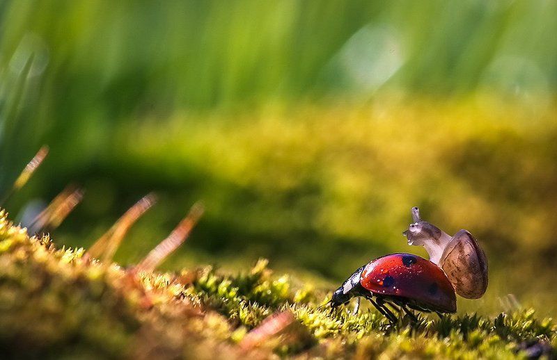 Такси фото превью