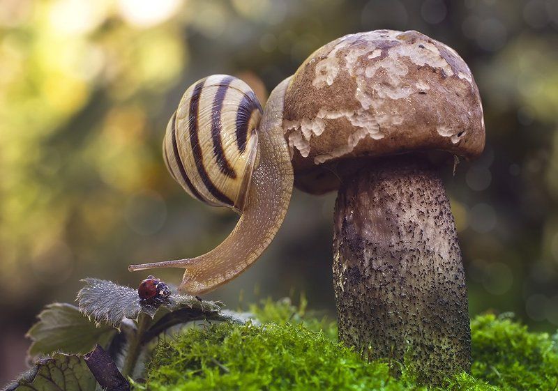 Давай дружить? фото превью