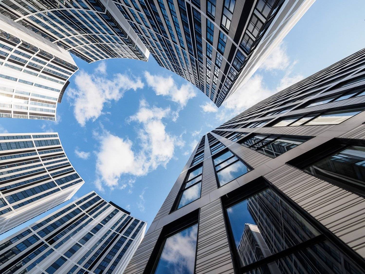 , Лунный Ежик