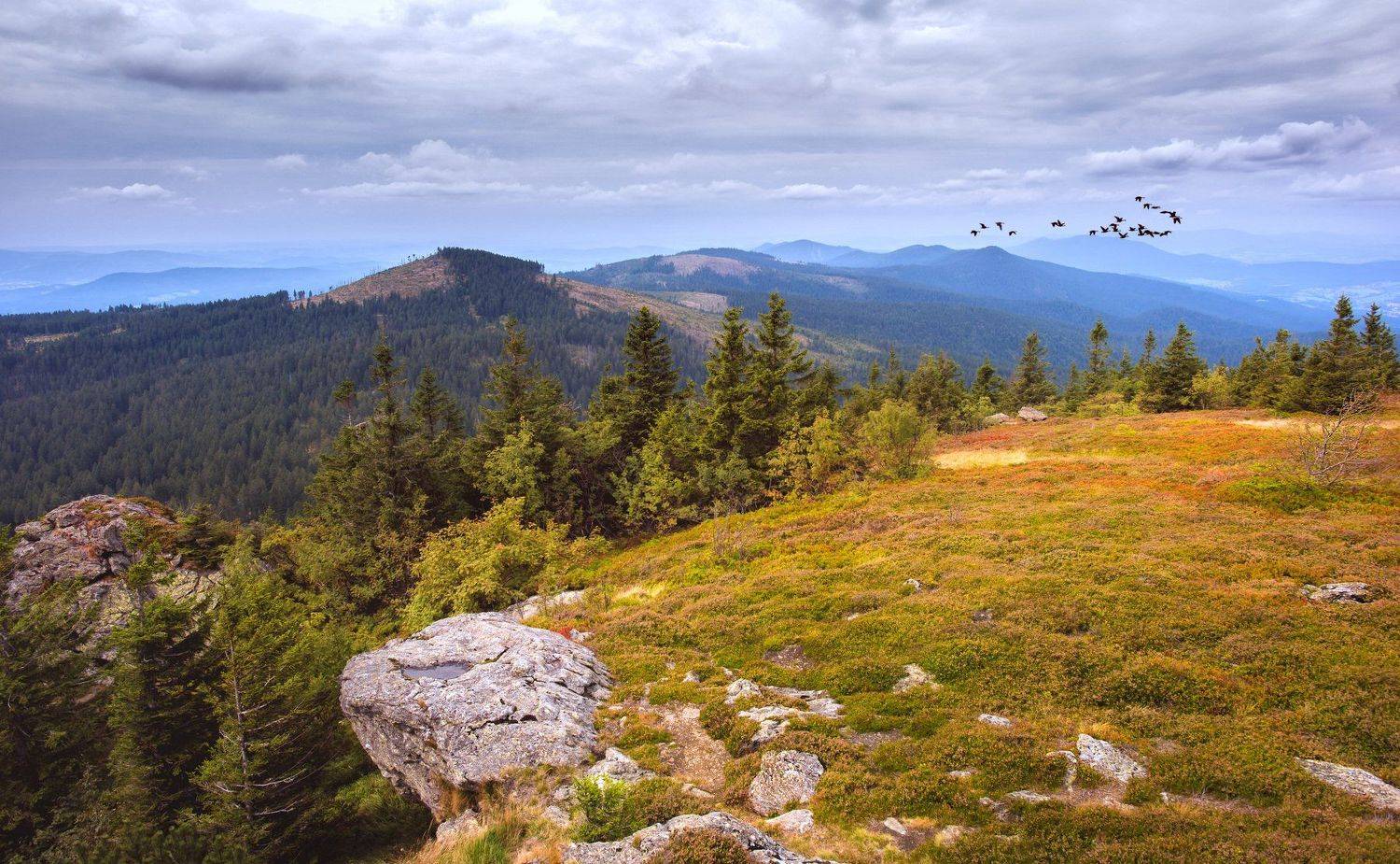 field, landscape ,nature ,grass ,green ,countryside, mountain ,valley, peak ,hill, rural, dolomites ,meadow, grassland ,hillside ,mountain pass, alto adige ,bucegi ,grassy ,piatra craiului ,apennines, trentino-alto  ,adige ,gqnsn   pi, Сергей Нестеров