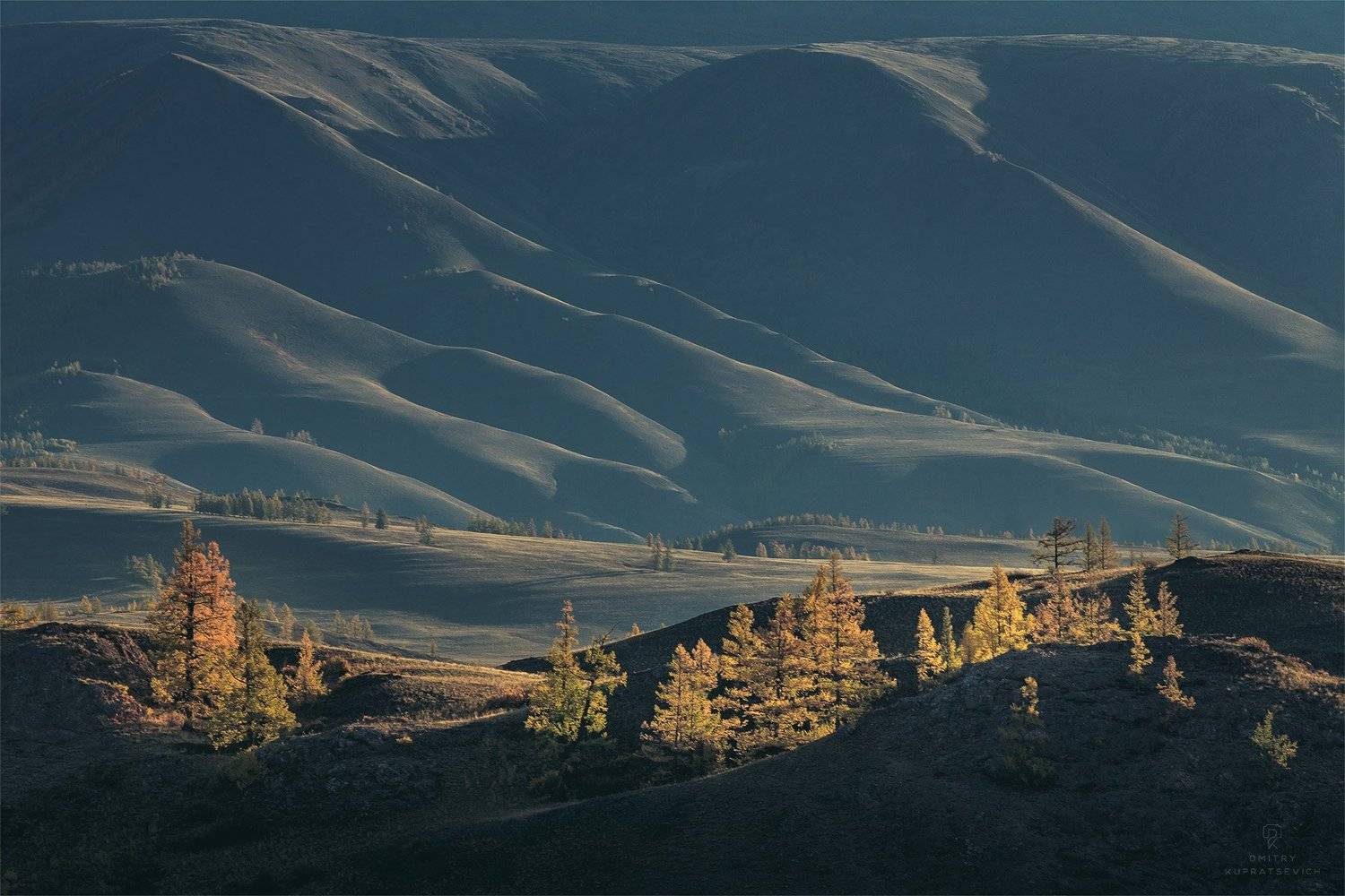 , Дмитрий Купрацевич