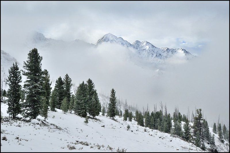 У нас уже зима фото превью