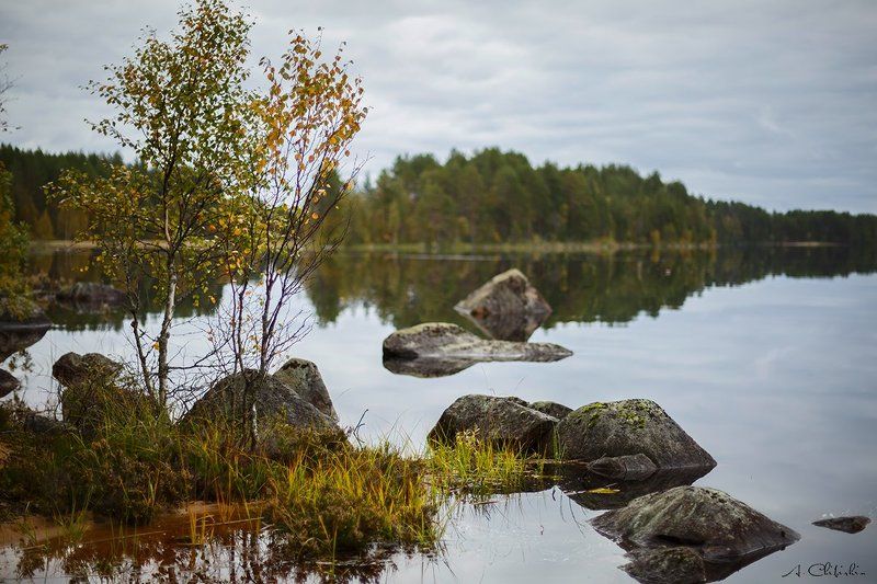 карелия_линдозеро, пейзаж, осень, октябрь, золото, закат, озеро Карельский этюд. Линдозеро фото превью