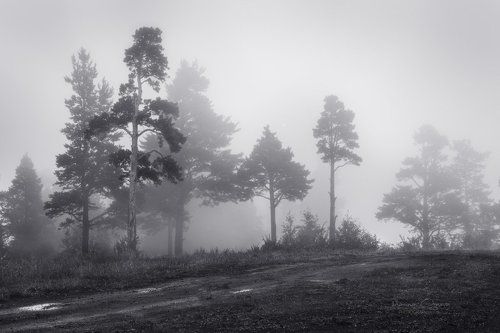 Просто природа, укутанная туманами ...