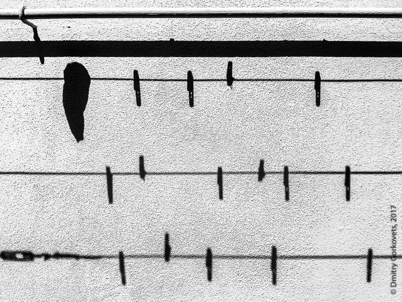 #bw #bwphotography #PhotoByDmitryGorkovets #street #streetphoto Notes фото превью