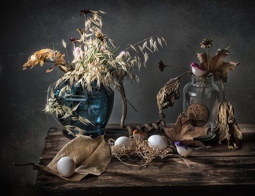 Про птичек с яйцами и без