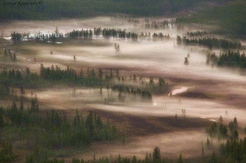 Сны про север.