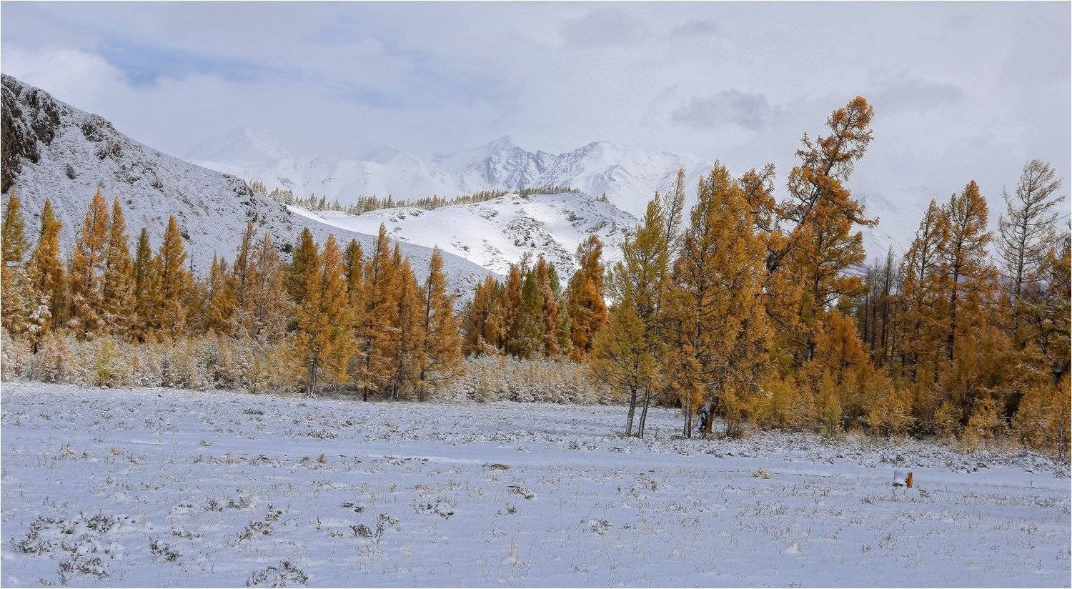 , Галина Хвостенко