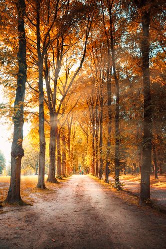 *Бабье лето*