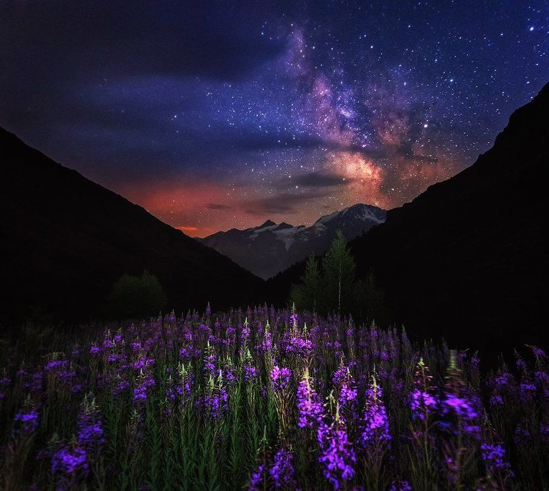 терскол, чегет, эльбрус, приэльбрусье, кбр, течение, река, горы, ночь, звёзды, млечный путь, лето, цветы, В ущелье Терскол фото превью