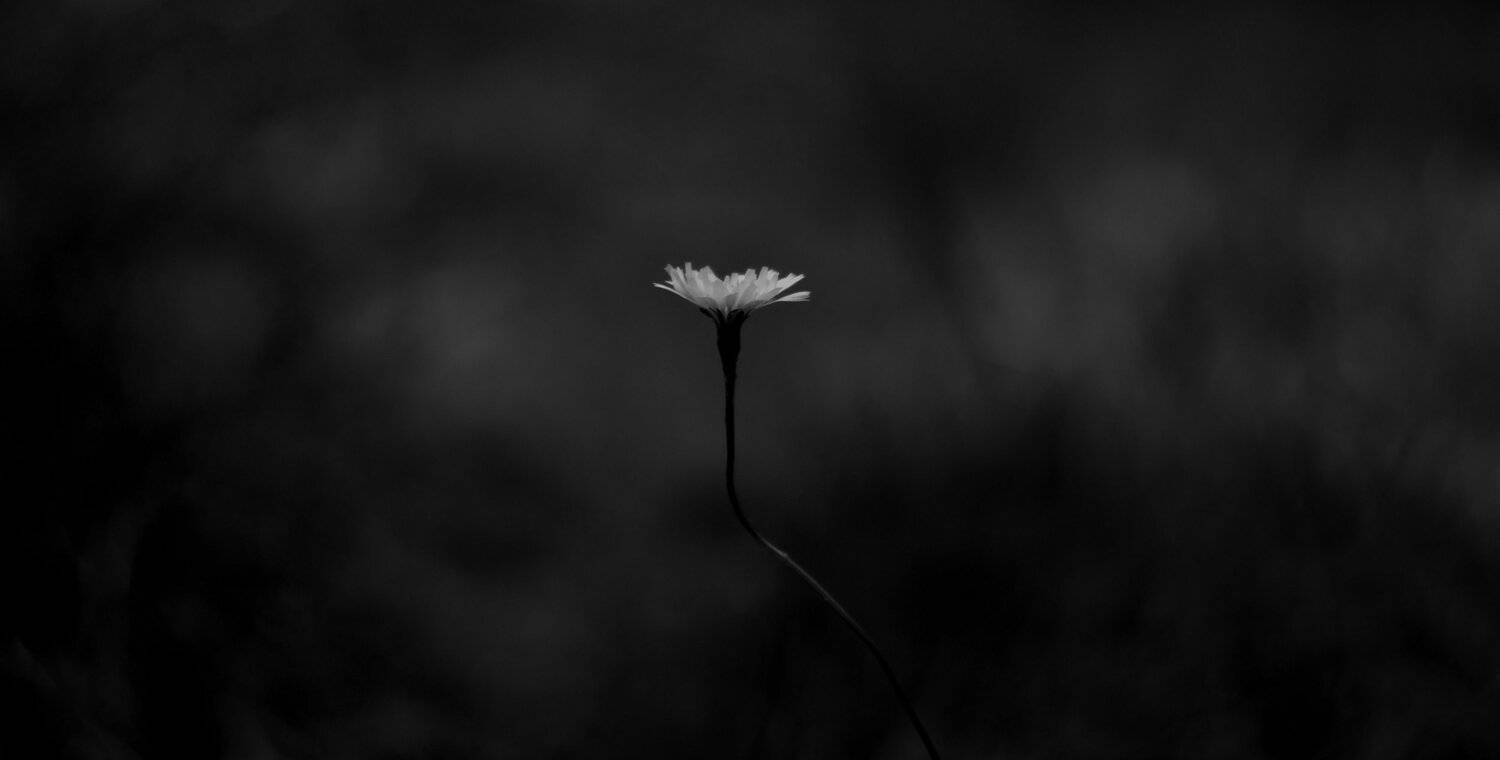 осень, природа, беларусь, лес, Sixten ( Сергей )