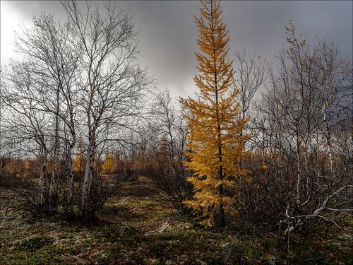 Зима близко...