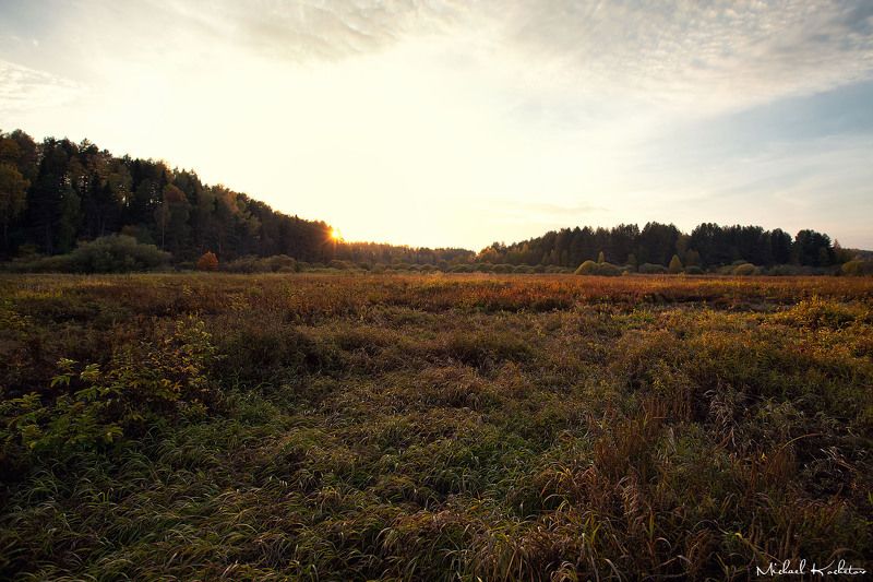 The field фото превью
