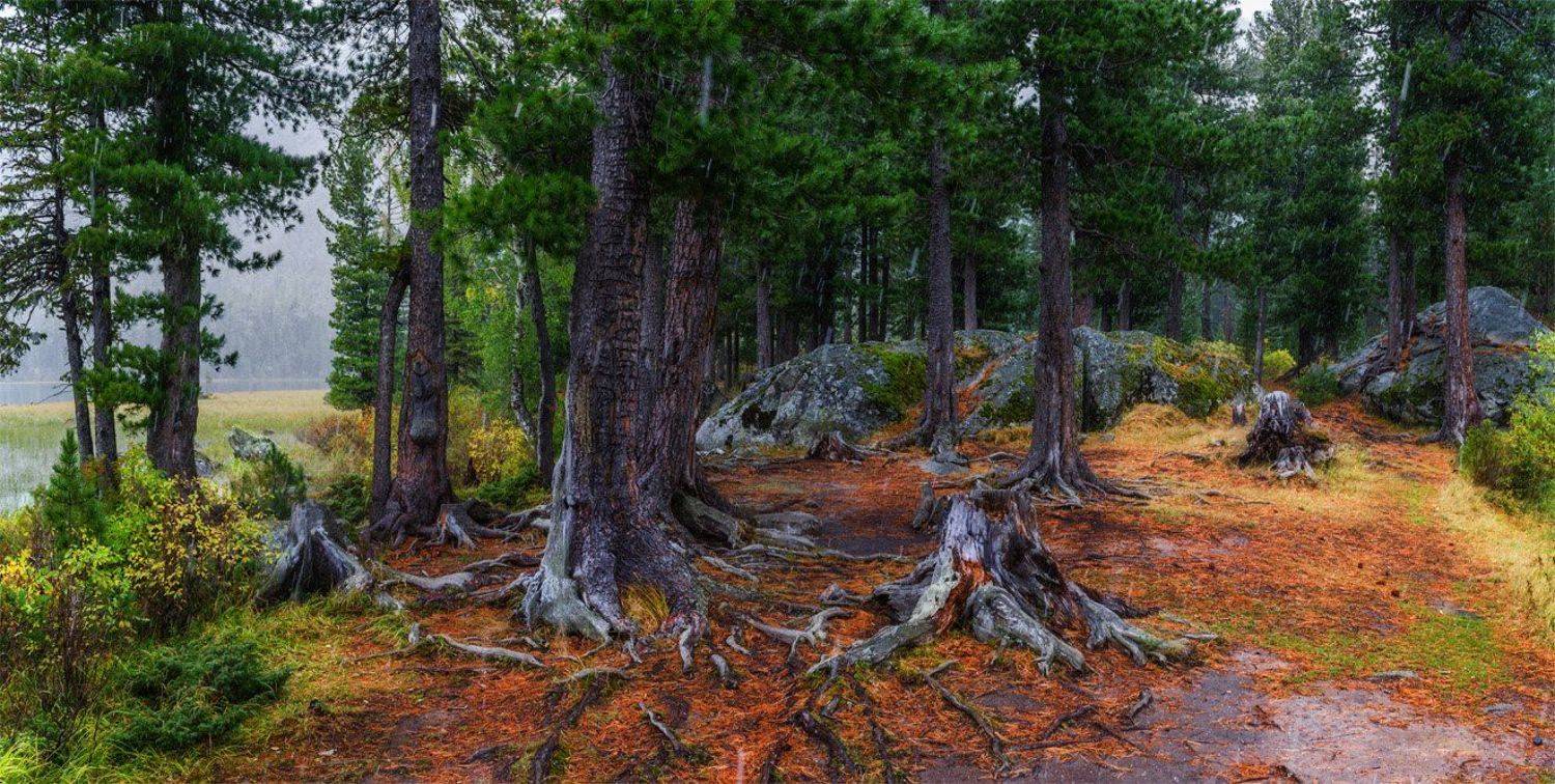 природа, пейзаж, алтай, горы, осень, мульта, панорама, снег, сибирь, лес, Альберт Беляев