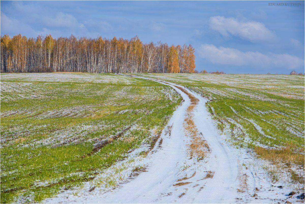 зауралье, урал, первыйснег, золотаяосень, осень, золотая. каргаполье, снег, курганская, Кутыгин Эдуард