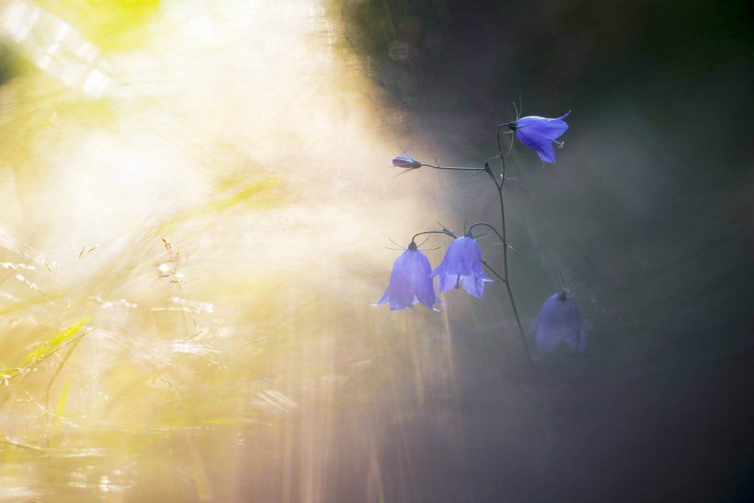 , Александр Иванов