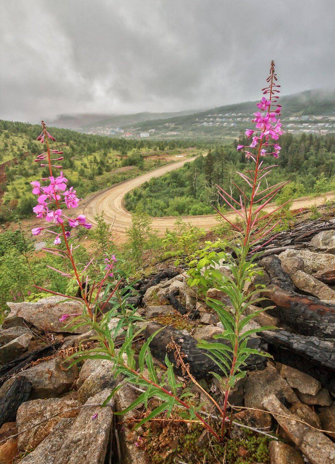, Николай Андреев