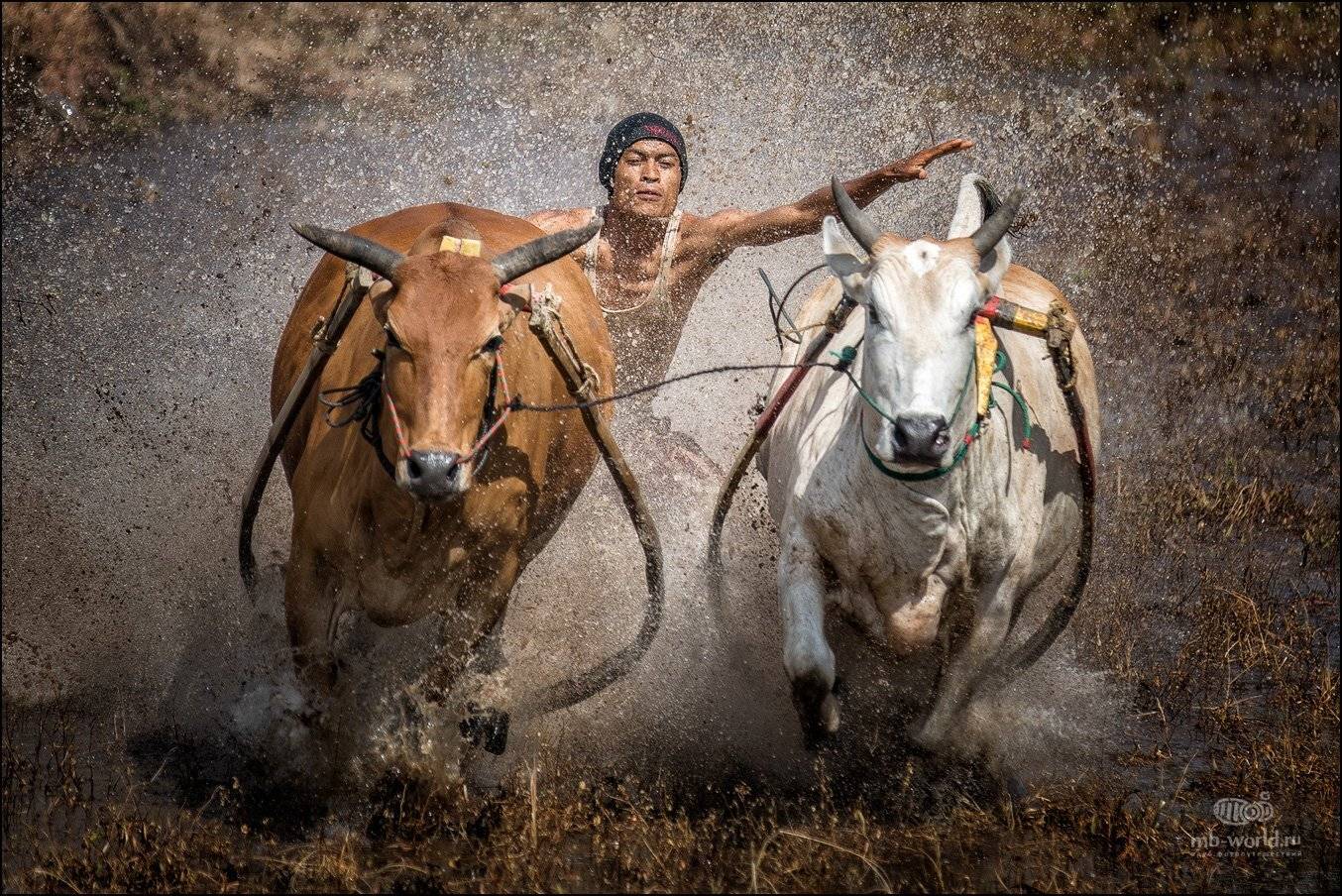 Индонезия, Суматра, путешествия, фототур, Михаил Воробьев