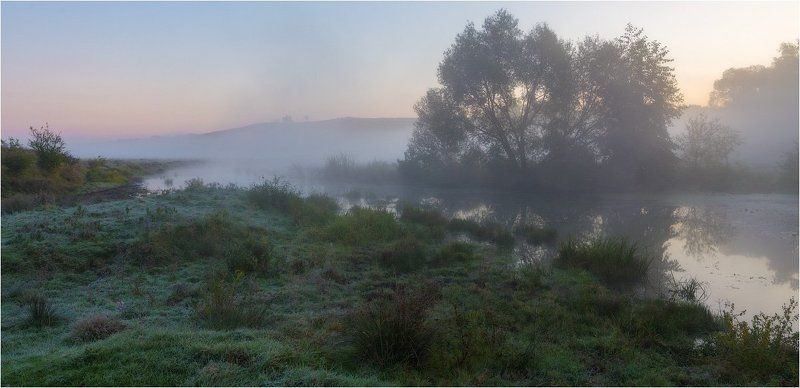 Первые заморозки... фото превью