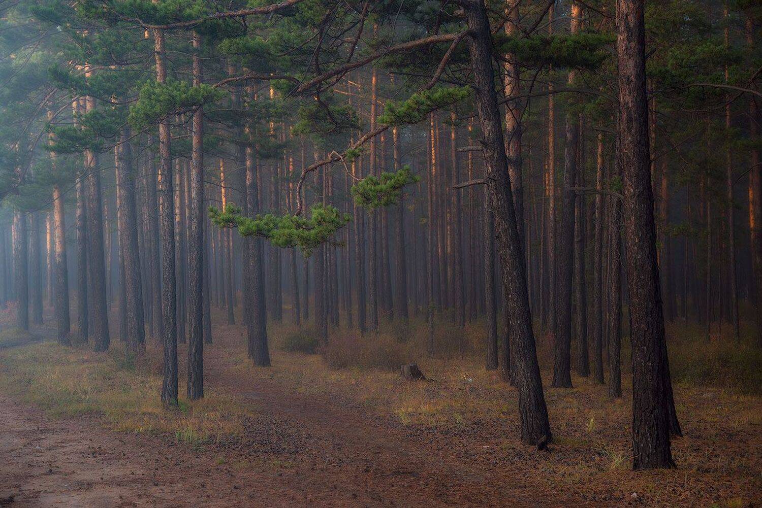 , Сергей Брагин