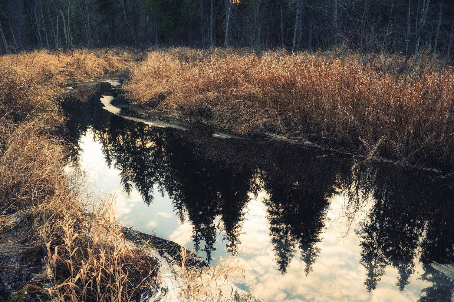 река, лес, заповедник, природа, осень, nikon, Дмитрий Иванов