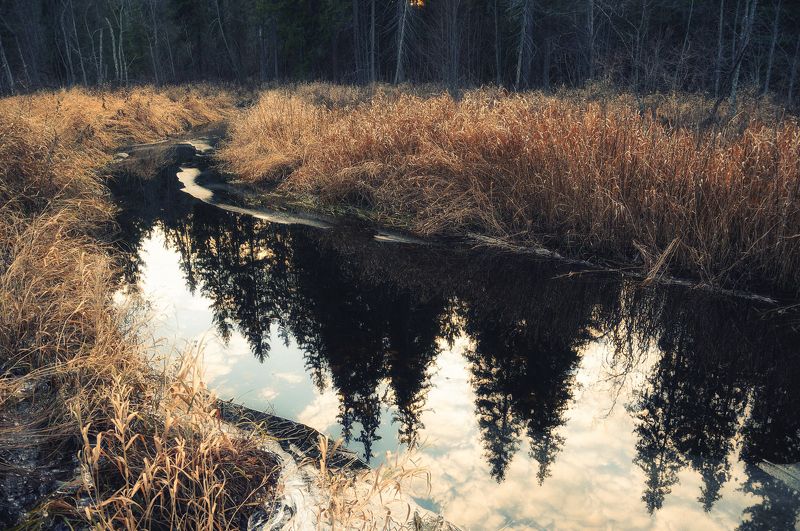 река, лес, заповедник, природа, осень, nikon Отражение осени фото превью