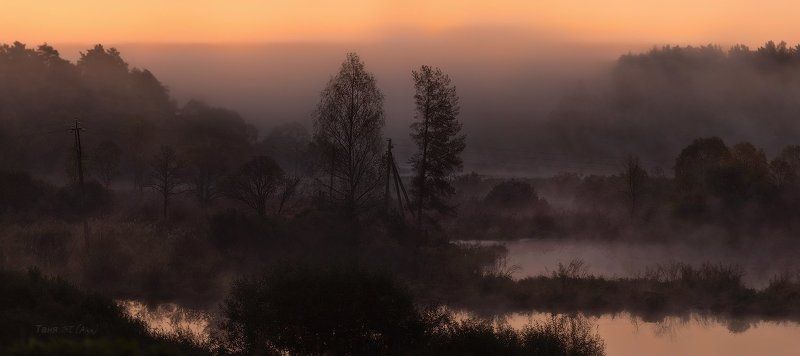 пейзаж, ленобласть, туман, landscape, nature, природа, foggy, forest, рассвет, болото, ленинградская область На исходе сентября... фото превью