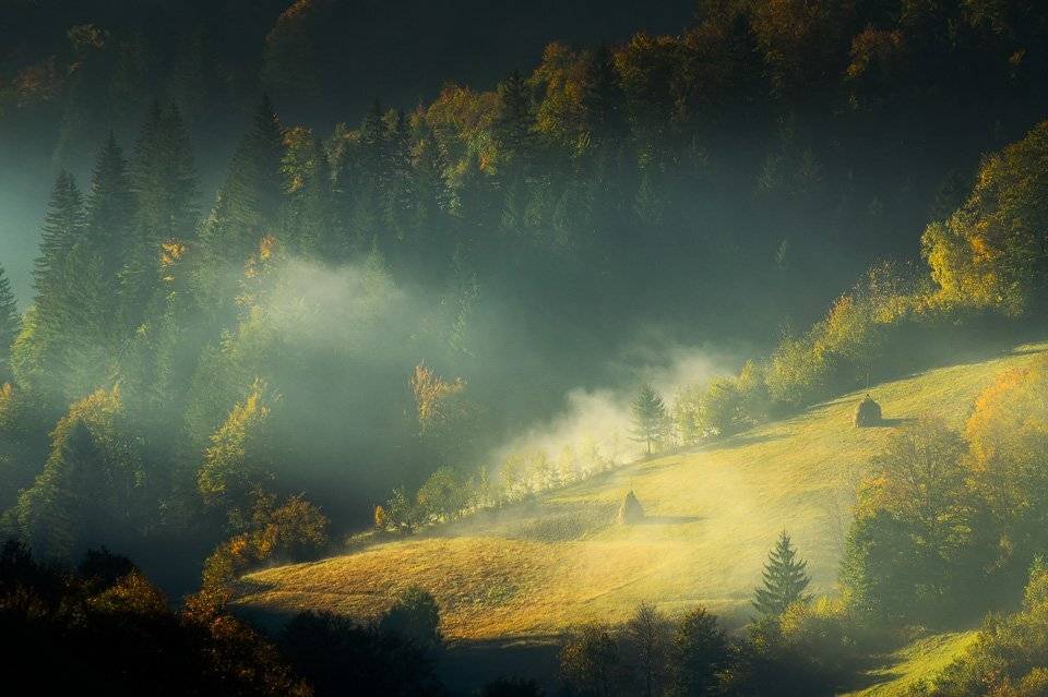 , Stefan Chirobocea
