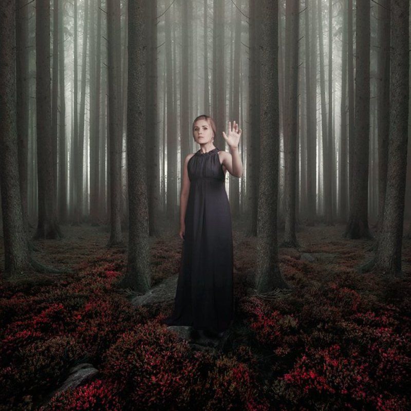 Untitled фото превью