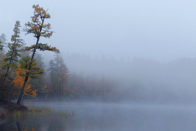 Mysterious Morning. фото превью