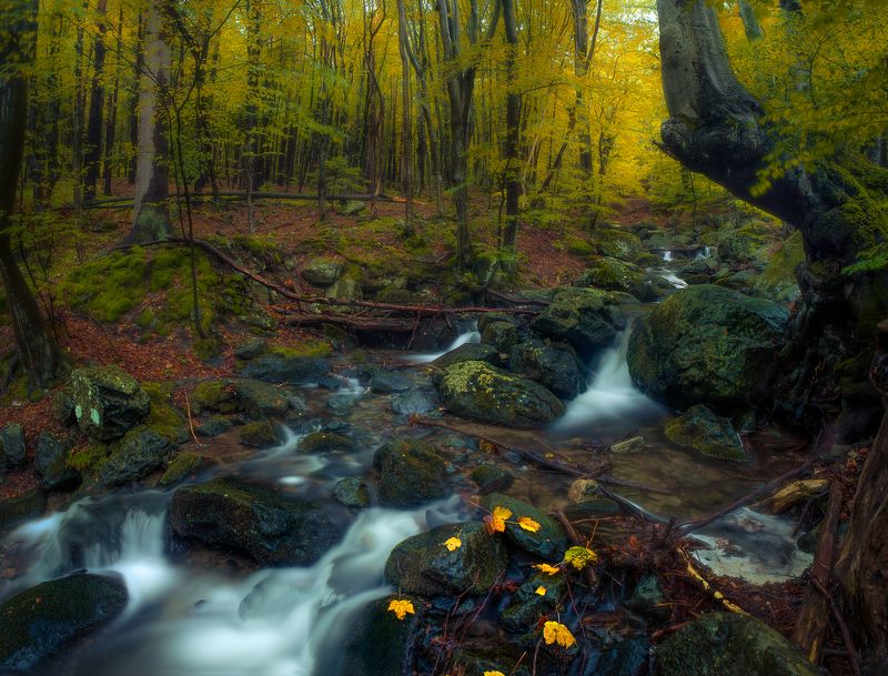 Драгалевска река фото превью