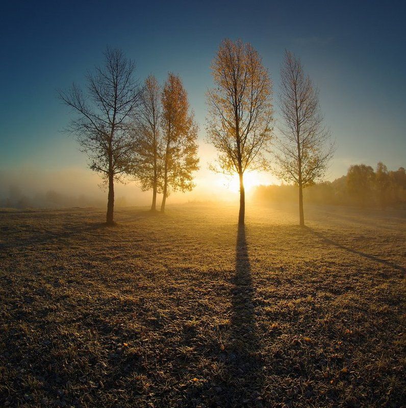 Ложились утренние тени фото превью